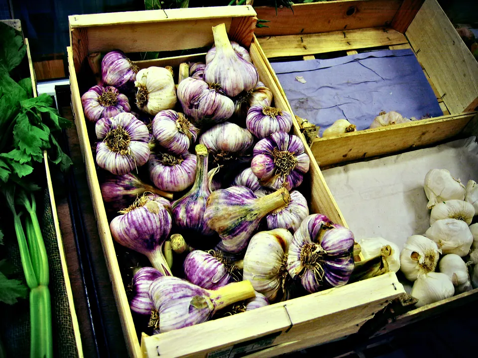 حزم ثوم على بسطة في سوق Cavaillon