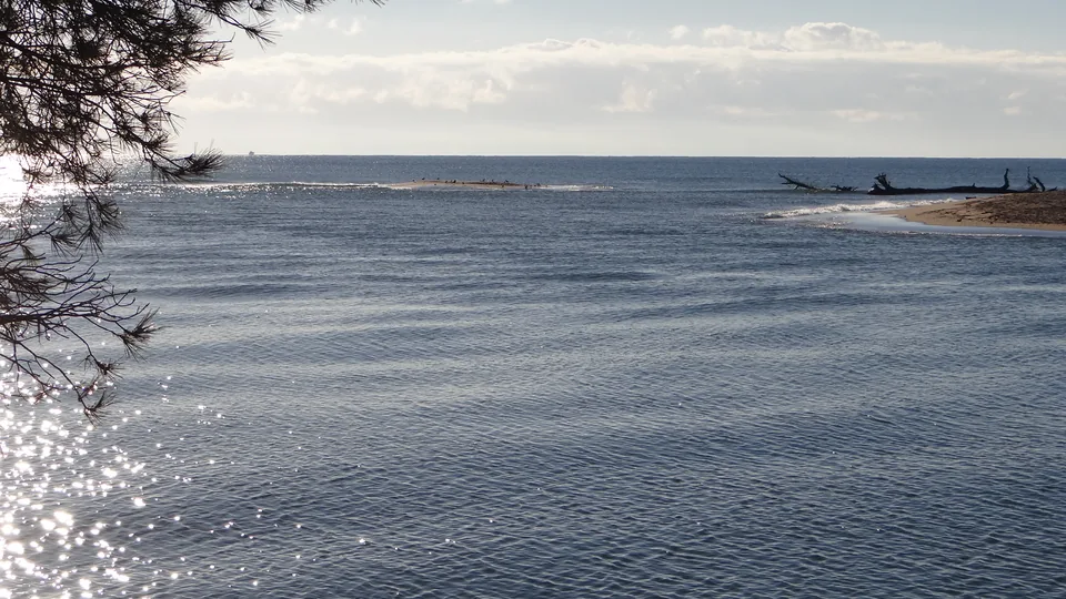 Littoral de la Base Nature de Fréjus. Photographie du 22 décembre 2014.
