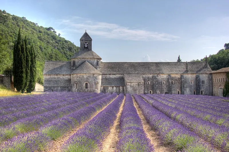 Abbaye Notre-Dame de Sénanque à Gordes et ses lavandes en été