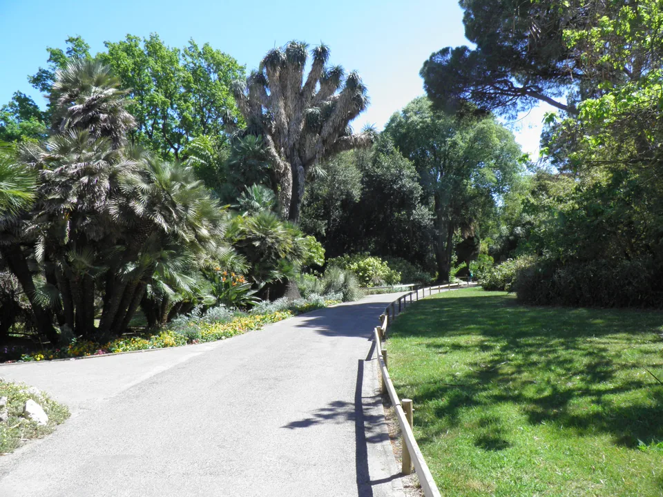 Allée et végétation du jardin Olbius Riquier à Hyères. Photographie du 2016-05-05.