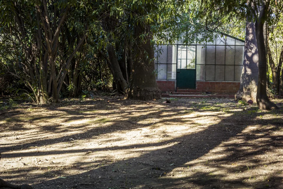 Serre et arbres du jardin départemental du Las à Toulon. Photographie du 2017-03-10.