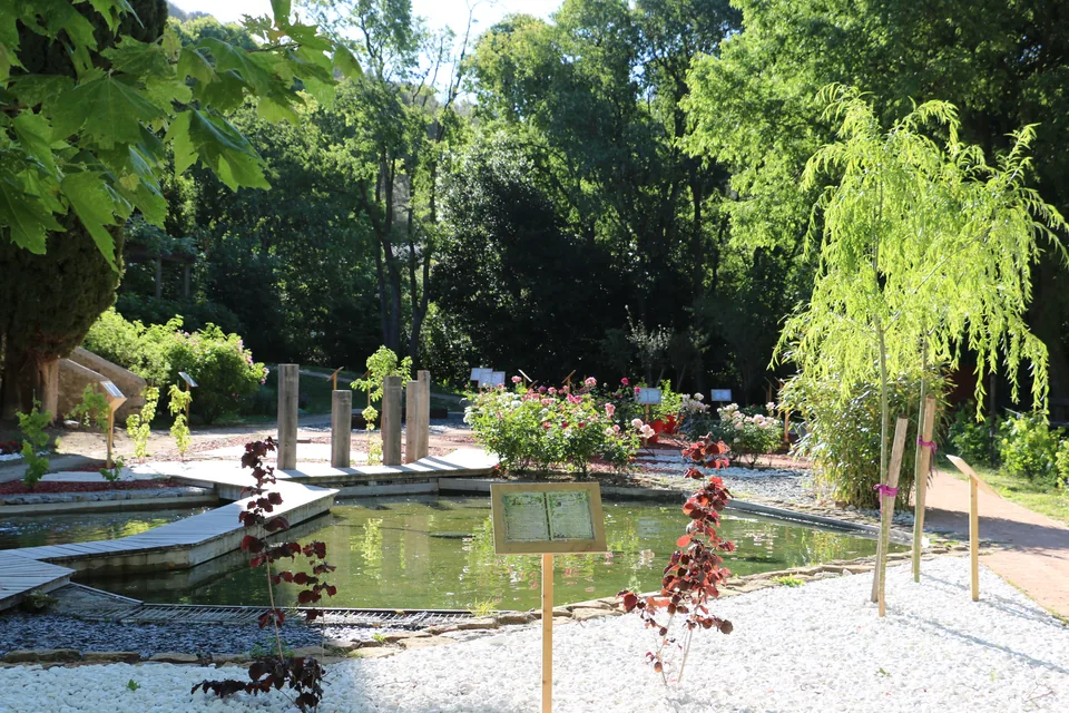 Bassin et plantations du jardin de Baudouvin. Photographie du 2016-05-20.