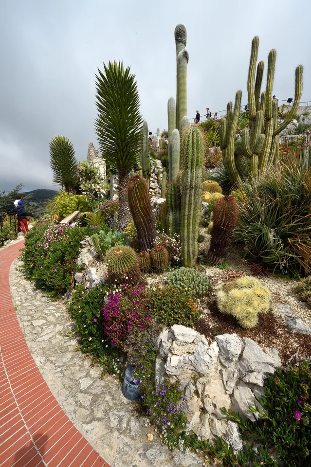 Allée et plantes du jardin exotique d’Èze, photographiées en avril 2022.