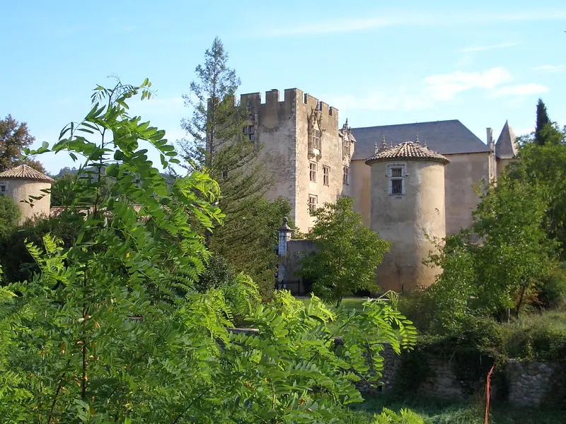 قلعة Allemagne-en-Provence، البرج الرئيسي والأبراج.