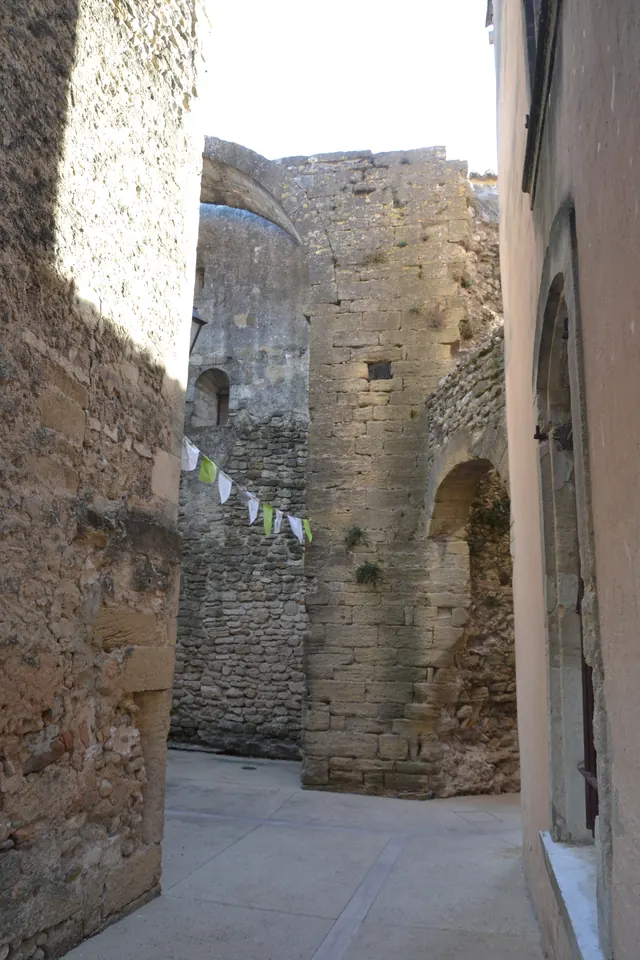 Murs de pierre et passage dans l'enceinte de la commanderie de Richerenches