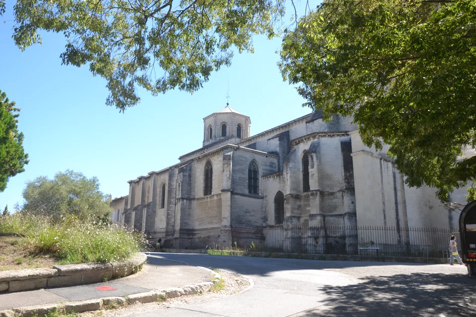 Façade de Notre-Dame des Doms côté jardin, photographie d’août 2026.