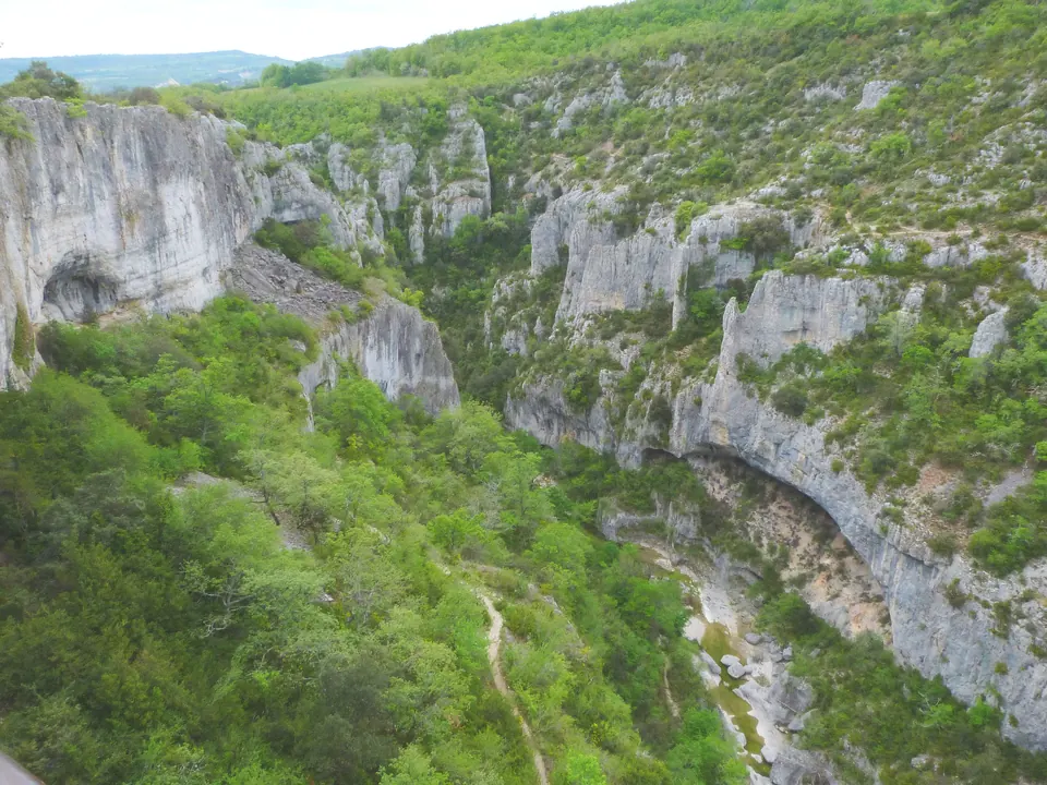 الجروف الكلسية والنباتات في خوانق Oppedette
